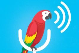 Illustration of a parrot on a microphone icon