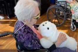 A woman at a skilled nursing facility in Seattle, WA, interacts with FDA-approved seal robot PARO.