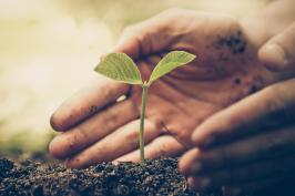 Center for Socially Responsible AI awards Big Ideas Grants to five projects