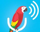 Illustration of a parrot on a microphone icon